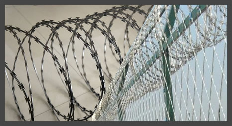 Crossed Concertina Wire Ribbons